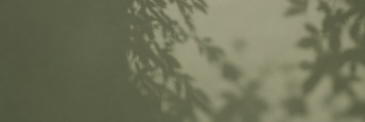A soft-focus abstract scene with dark leafy silhouettes against a muted olive-green background.