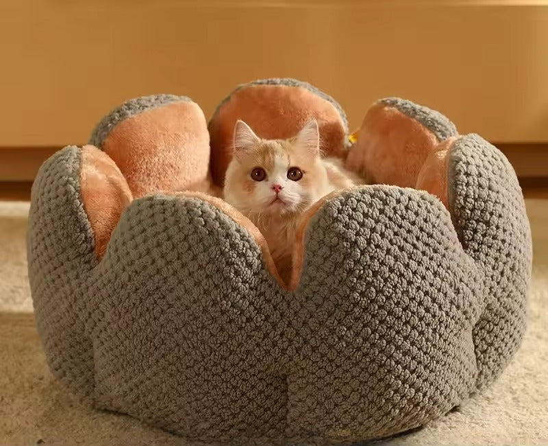 Cozy flower-shaped cat bed made of soft plush fabric, measuring 19.7 inches in diameter. The bed features a vibrant floral design, providing 1