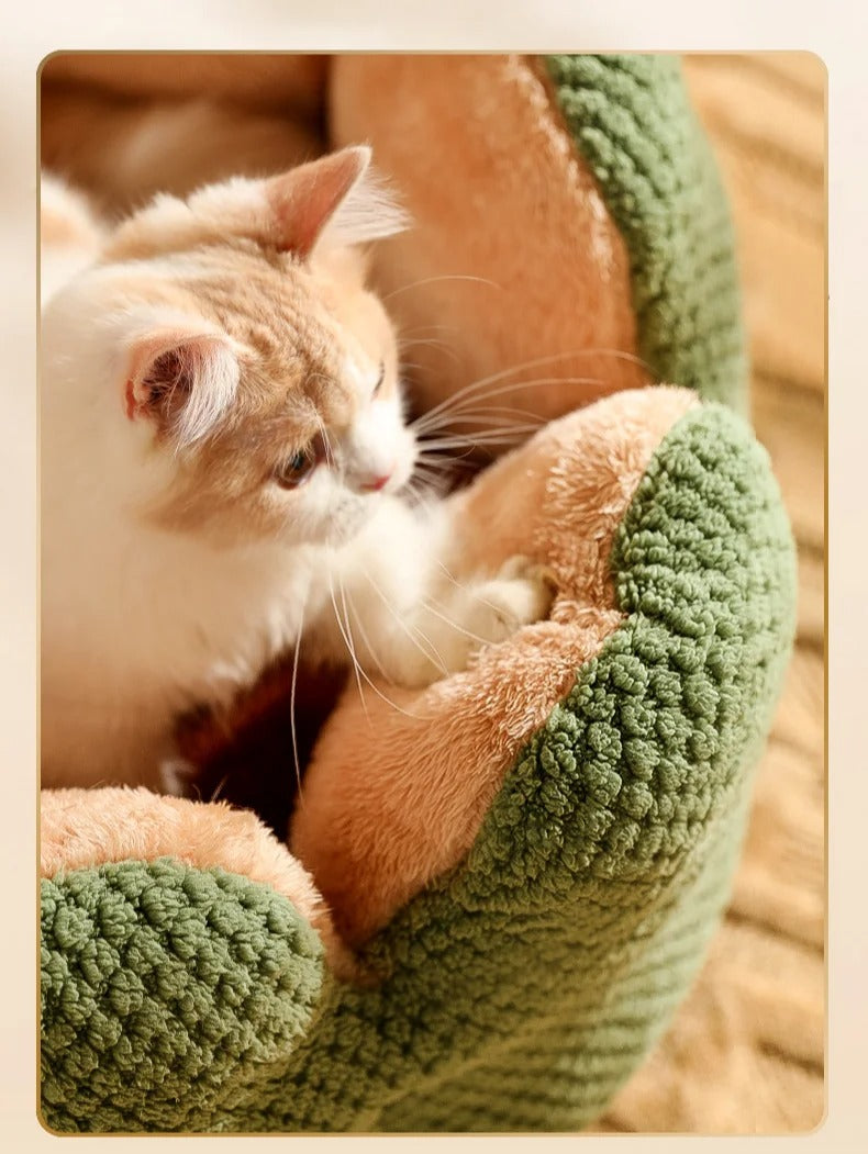 Cozy flower-shaped cat bed made of soft plush fabric, measuring 19.7 inches in diameter. Ideal retreat for cats, featuring a vibrant design 4