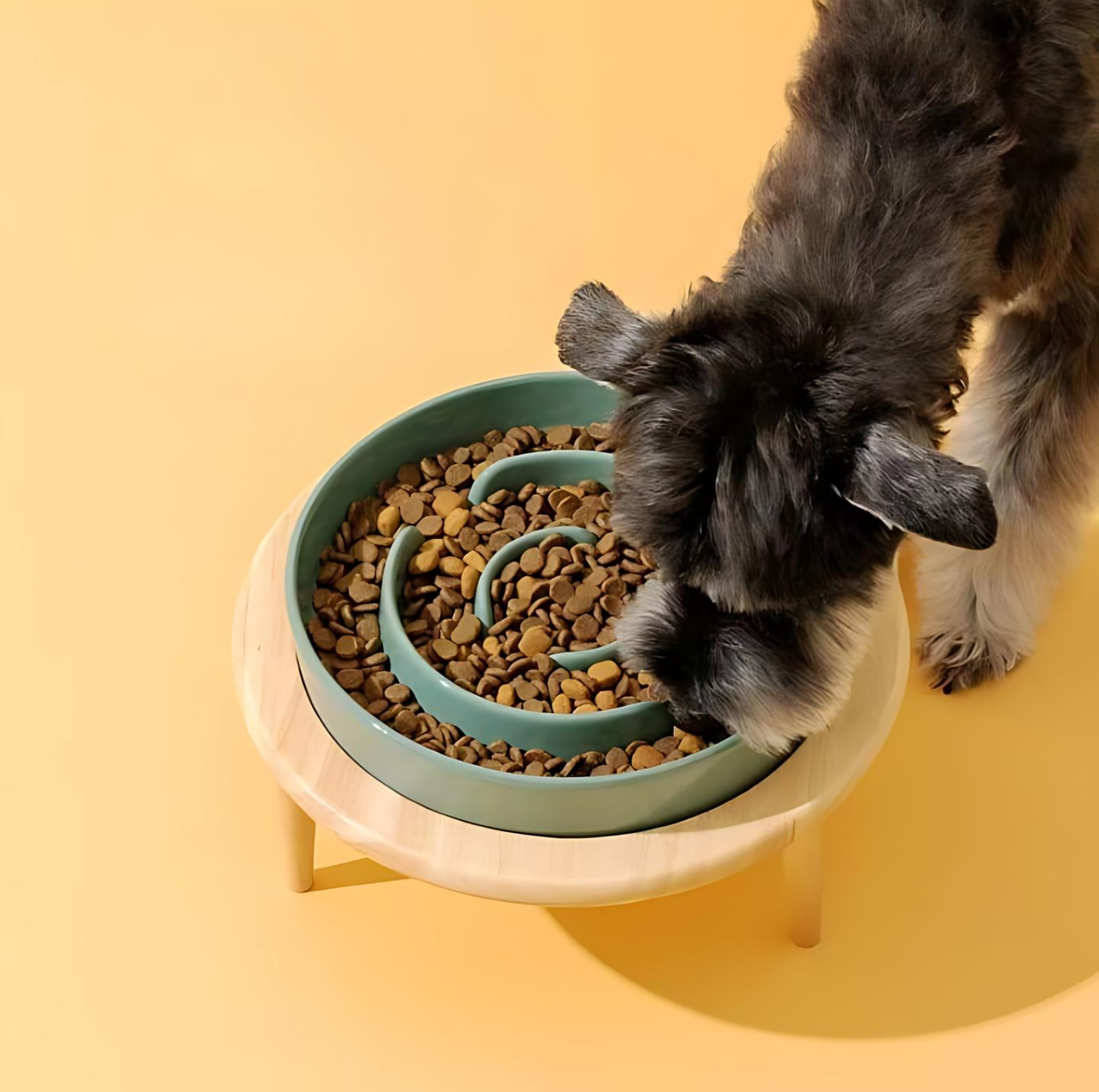 Ceramic pet bowl – Elegant slow feeder – Promotes healthy digestion – Ideal for dogs and cats 4