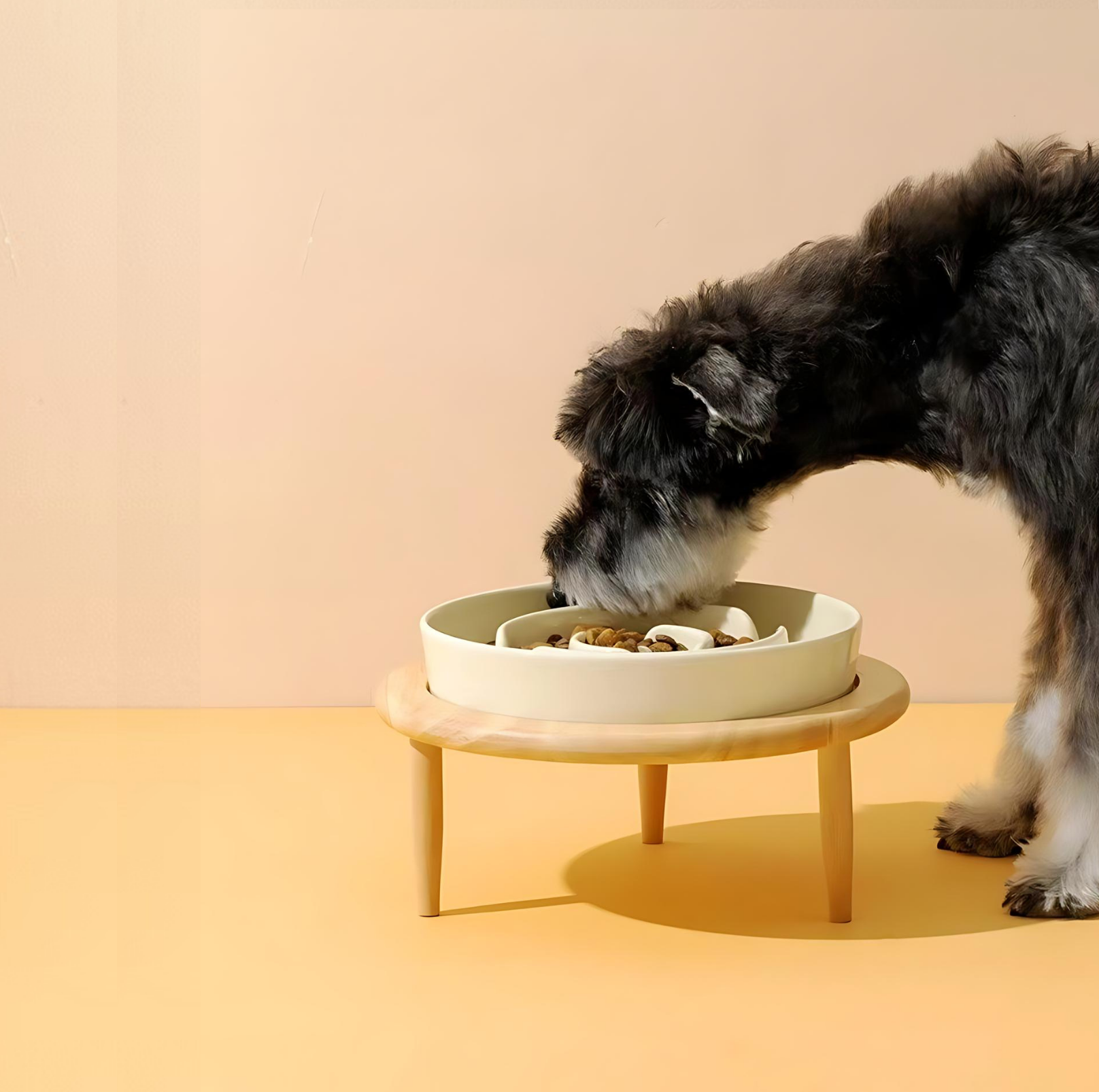 Ceramic pet bowl – Elegant slow feeder – Promotes healthy digestion – Ideal for dogs and cats 5