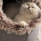 Cozy Haven | Cat Bed Cave with Insulated Plush Fabric Ð Semi-Enclosed Design for Warmth and Comfort 1