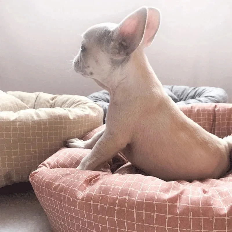 Cozy plush dog bed for small to medium pets in a light gray design. Features a soft, cushioned surface for comfort and support, with a 2