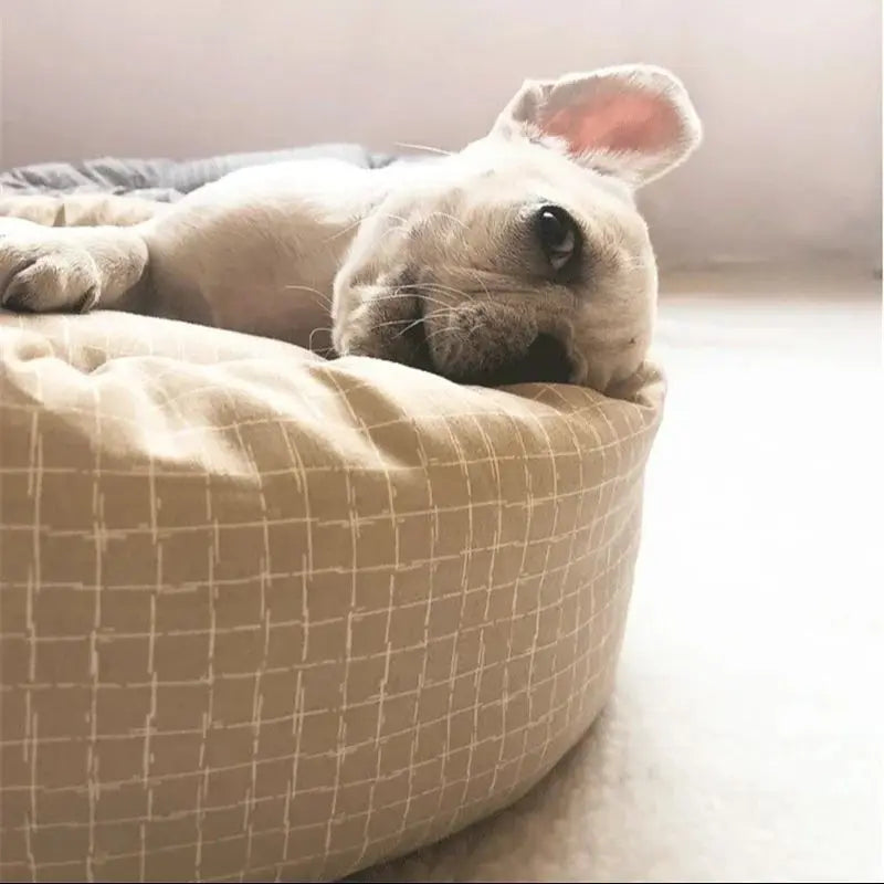 Cozy plush dog bed in light gray, designed for small to medium pets. Features a soft, cushioned surface for comfort and a stylish, modern 3