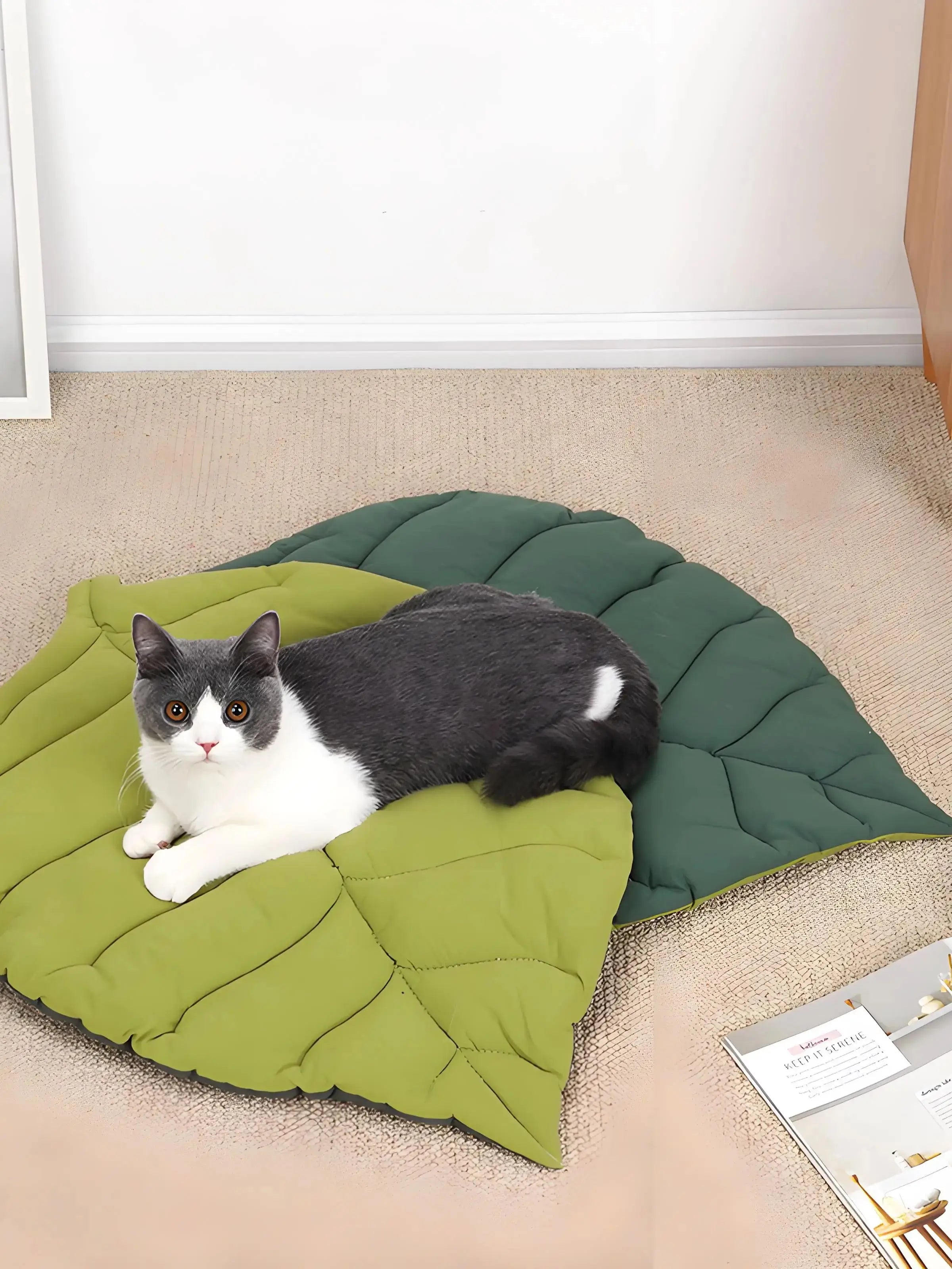 Durable pet sleeping pad featuring a leaf design, perfect for cats and dogs. Made with all-weather materials, it offers comfort and style. The green 4