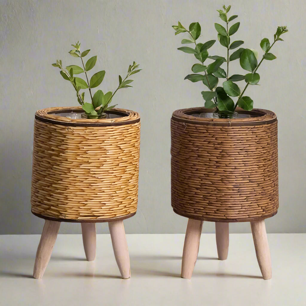 Flower pot – Rattan effect – Tall cylinder design – Indoor plant pot for modern decor – 5.5 x 8.5 in 1