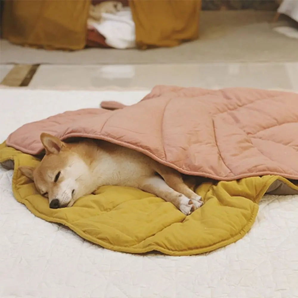 Leaf-shaped dog cooling mat in soft, breathable fabric. Features a washable design, perfect for keeping pets cool during warm weather. The mat showcases a vibrant 5