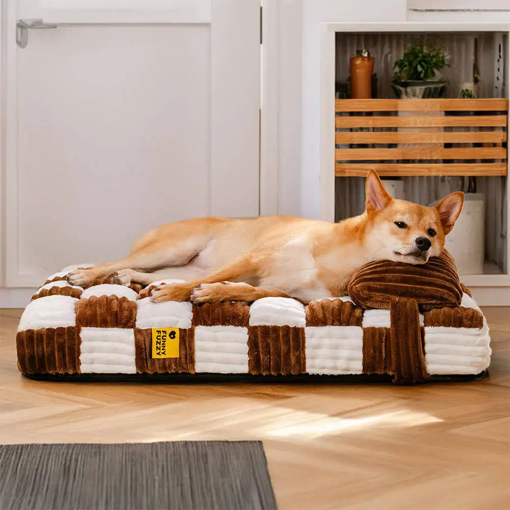 Plush orthopedic dog bed in a stylish gray design, featuring supportive memory foam to relieve pressure points. Ideal for pets seeking comfort, with a removable, 1