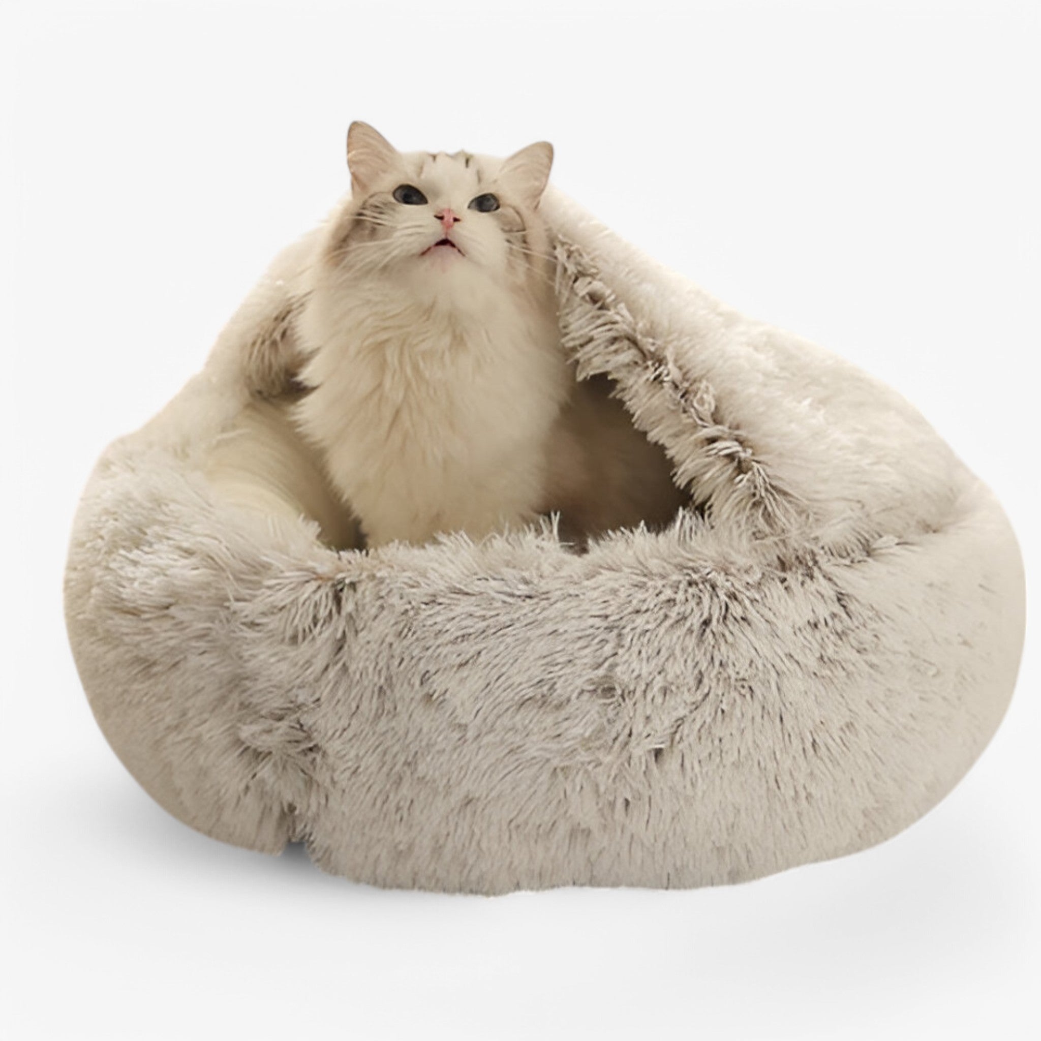 Cozy winter design pet bed in soft plush velvet, perfect for dogs and cats. Features a comfortable cushion and elegant look, available in multiple sizes and 1