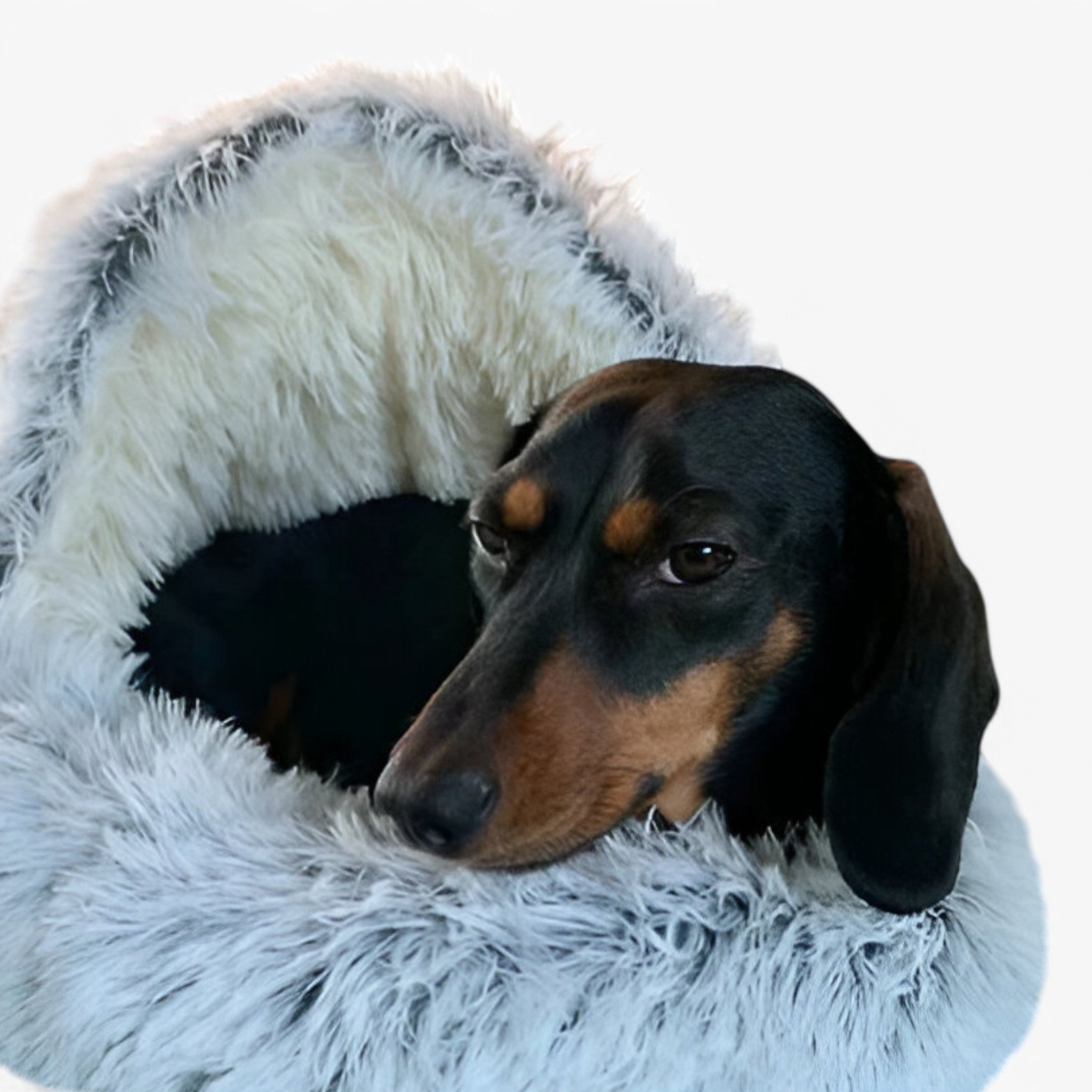 Cozy winter design pet bed made of plush velvet, perfect for dogs and cats. Soft and comfortable, featuring a warm color palette. Available in multiple 6