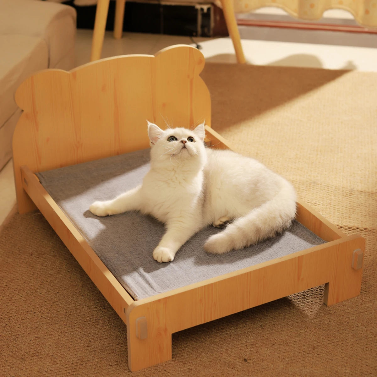 Cozy modern wooden cat bed featuring a sleek design with a removable soft cushion. The natural wood finish complements any decor, while the plush cushion provides ultimate 4